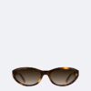 Acetate Cat Eye Sunglasses Acetate Cat Eye Sunglasses