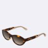 Acetate Cat Eye Sunglasses Acetate Cat Eye Sunglasses