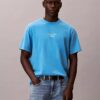 Acid Wash Logo Graphic Classic T-Shirt