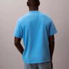 Acid Wash Logo Graphic Classic T-Shirt