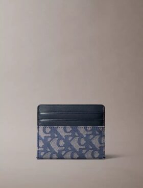 Allover Monogram Card Case