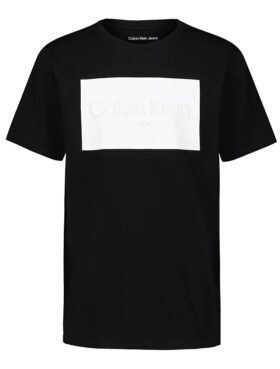 Boys Ck Logo Block Crewneck Tee