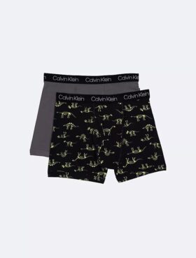 Boys Cotton Stretch 2-Pack Boxer Brief