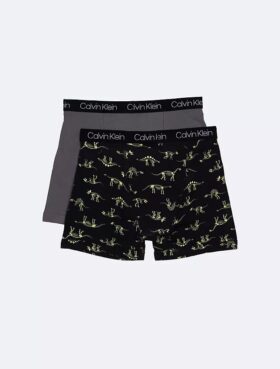 Boys Cotton Stretch 2-Pack Boxer Brief