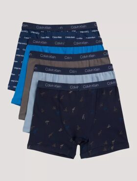 Boys Cotton Stretch 5-Pack Boxer Brief