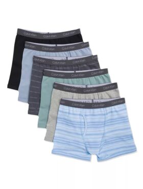 Boys Cotton Stretch 6-Pack Boxer Brief