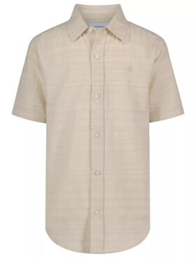 Boys Textured Stripe Classic Button-Down Shirt