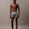 Brushed Microfiber Stretch Boxer Brief