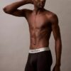 Brushed Microfiber Stretch Boxer Brief Brushed Microfiber Stretch Boxer Brief