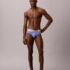 Brushed Microfiber Stretch Hip Brief Brushed Microfiber Stretch Hip Brief