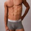 Brushed Microfiber Stretch Low Rise Trunk Brushed Microfiber Stretch Low Rise Trunk