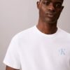 Brushstroke Monologo Graphic Tee