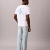Brushstroke Monologo Graphic Tee