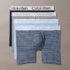 Chromatic 4-Pack Boxer Brief