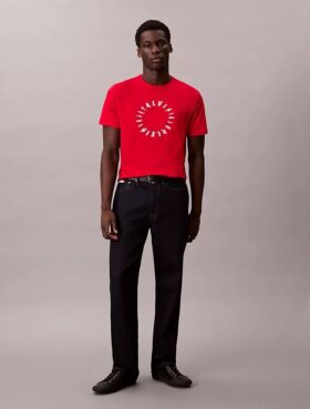 Circle Logo Graphic Classic T-Shirt