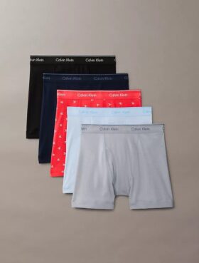 Cotton Classics 5-Pack Boxer Brief