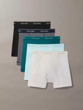 Cotton Classics 5-Pack Boxer Brief