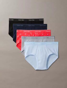 Cotton Classics 5-Pack Brief