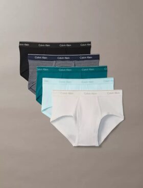 Cotton Classics 5-Pack Brief