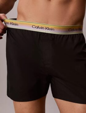Cotton Poplin Pride Boxer