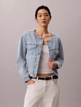Cropped Collarless Denim Trucker Jacket