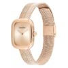 Curved Mesh Watch Curved Mesh Watch