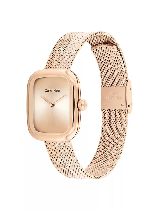 Curved Mesh Watch Curved Mesh Watch