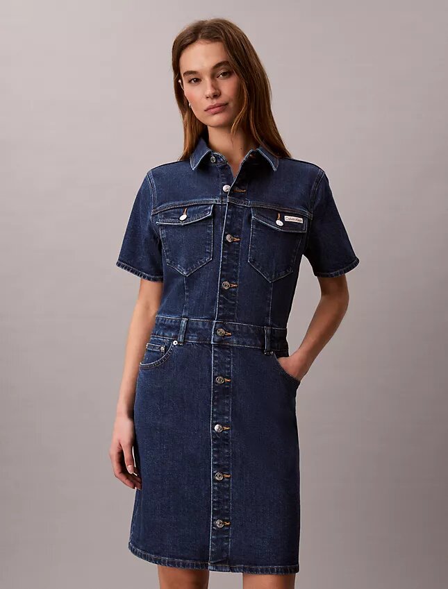 Denim Mini Trucker Dress Denim Mini Trucker Dress
