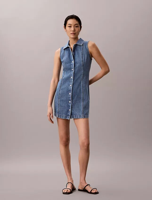 Denim Seamed Mini Dress Denim Seamed Mini Dress