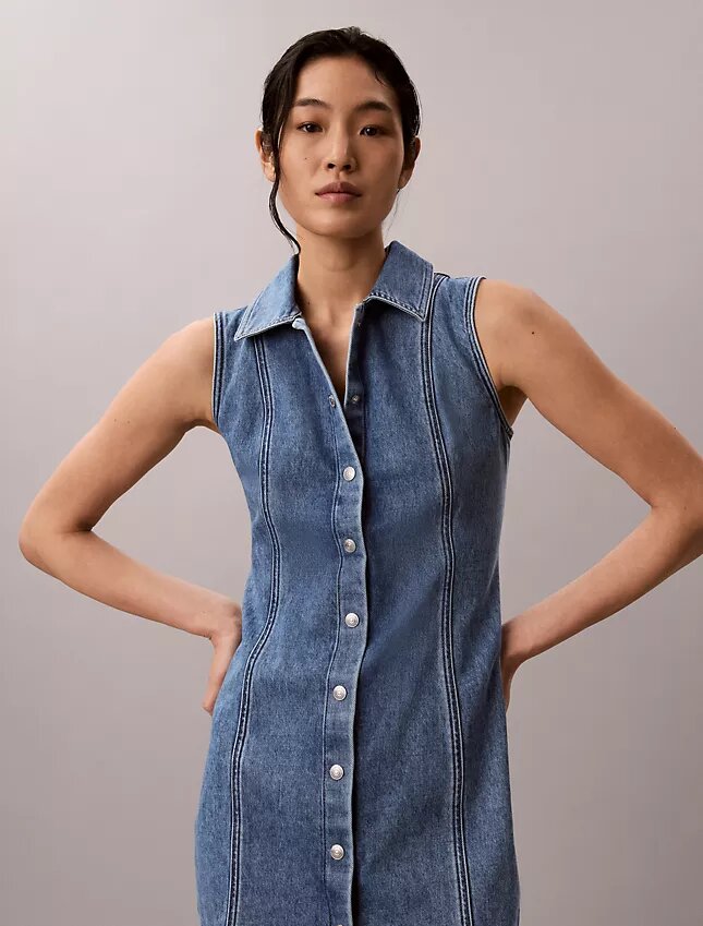 Denim Seamed Mini Dress Denim Seamed Mini Dress