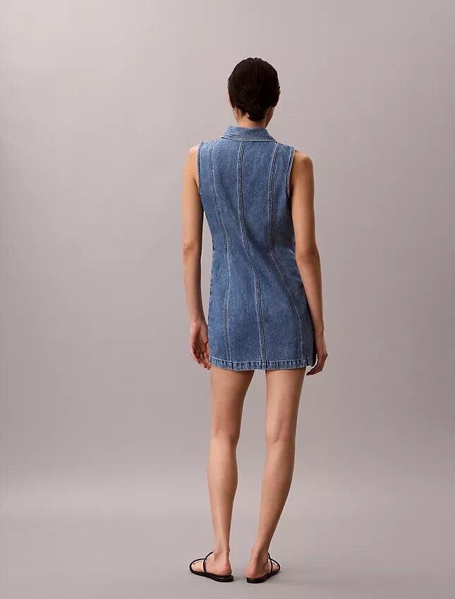 Denim Seamed Mini Dress Denim Seamed Mini Dress