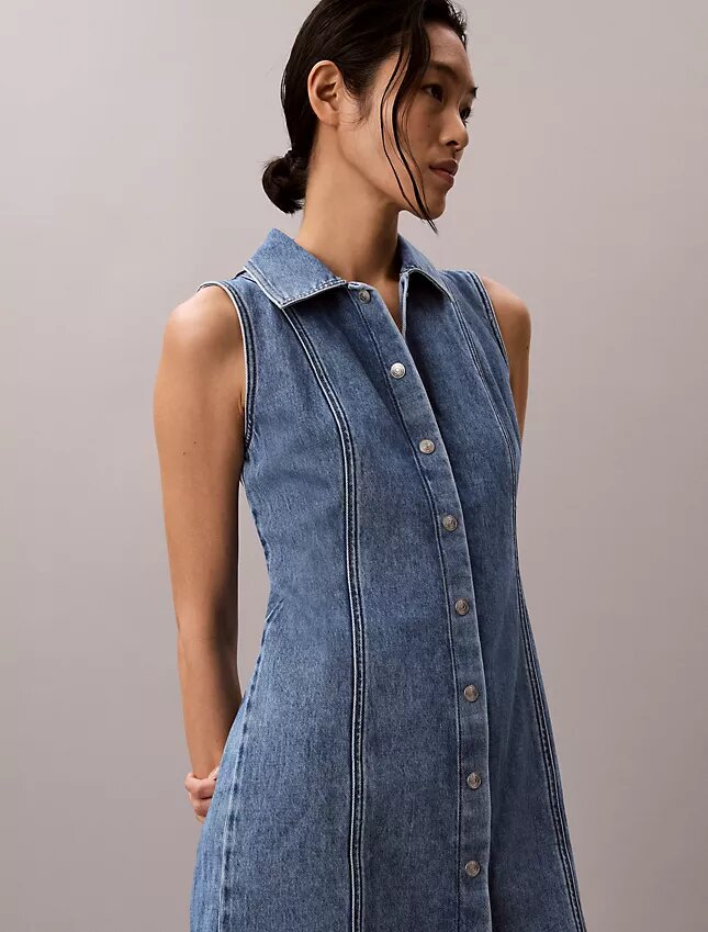 Denim Seamed Mini Dress Denim Seamed Mini Dress