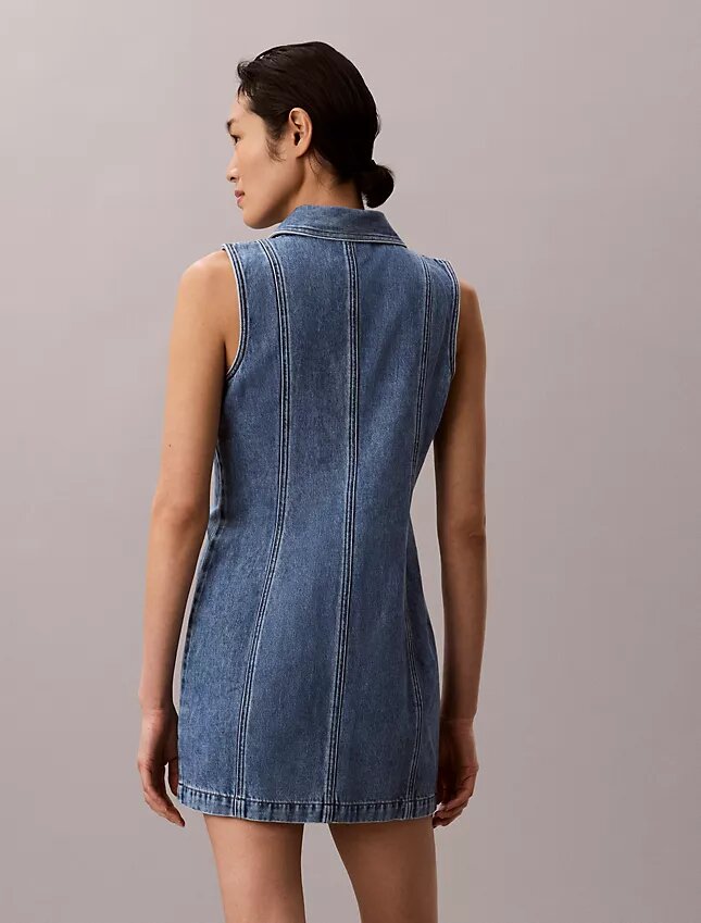 Denim Seamed Mini Dress Denim Seamed Mini Dress