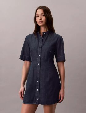 Denim Short Sleeve Dress Denim Short Sleeve Dress