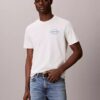 Diner Calvin Klein Graphic Logo Tee