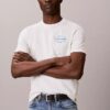 Diner Calvin Klein Graphic Logo Tee