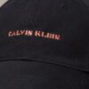 Embroidered Graphic Logo Cap