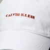 Embroidered Graphic Logo Cap