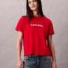 Embroidered Logo Graphic Classic T-Shirt