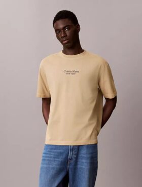 Faded Dye Logo Graphic Classic Crewneck T-Shirt