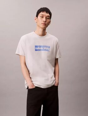 Faded Logo Graphic Classic T-Shirt