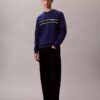 Fleece Stripe Classic Sweatshirt