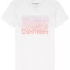 Girls Ombre Logo Graphic Classic T-Shirt