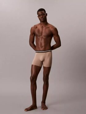 Icon Active Mesh 3-Pack Boxer Brief