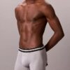 Icon Active Mesh 3-Pack Boxer Brief