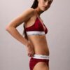 Icon Cotton Modal Lightly Lined Triangle Bralette