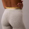 Icon Cotton Modal Pride Boxer Brief