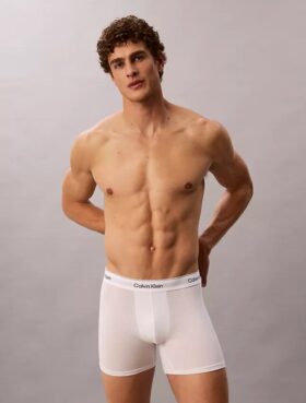 Icon Cotton Stretch 3-Pack Boxer Brief