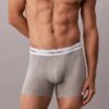 Icon Cotton Stretch 3-Pack Boxer Brief