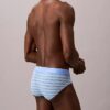 Icon Cotton Stretch 3-Pack Hip Brief